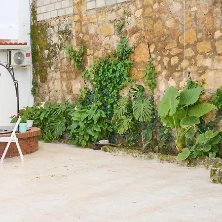 Pet-friendly Holiday home